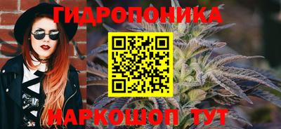 скорость Кимры