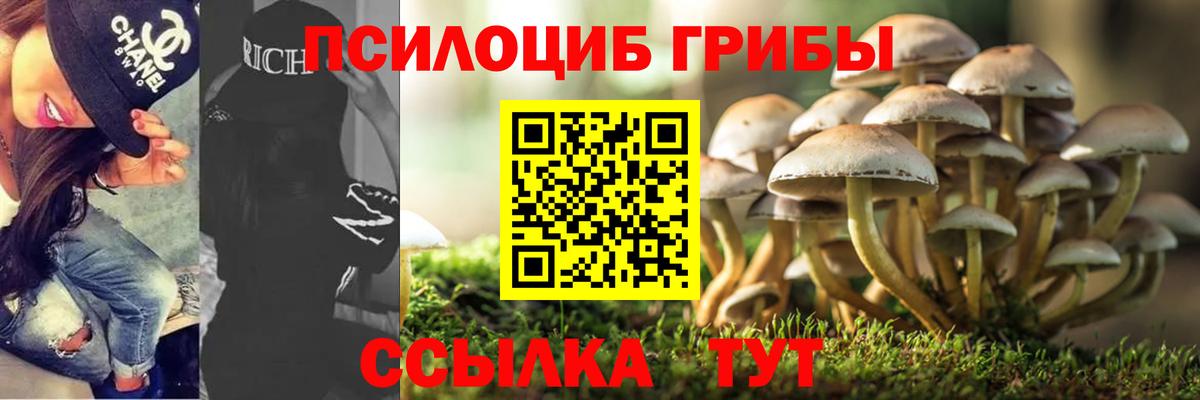 Галлюциногенные грибы GOLDEN TEACHER  Псилоцибиновые грибы Cubensis  Киров  Вход с VPN 